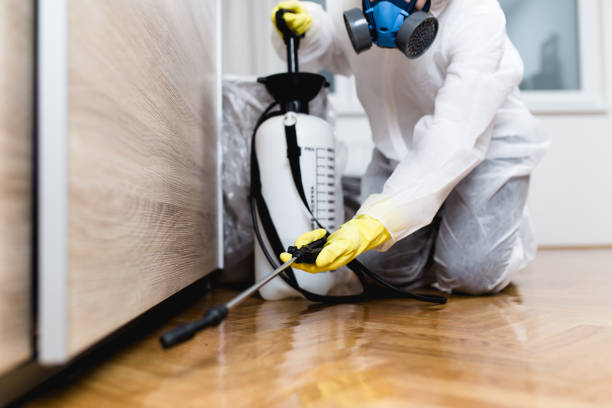 Best Pest Inspection Near Me  in West Springfield, VA
