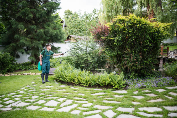 Best Commercial Pest Control Services  in West Springfield, VA