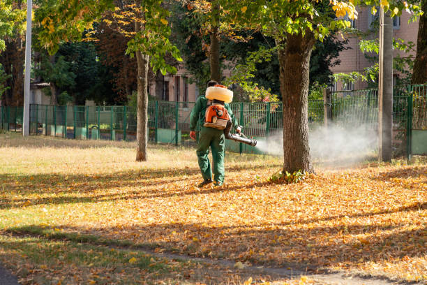 Best Pest Removal Services  in West Springfield, VA